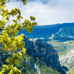 Randonner dans le Verdon et sur le plateau de Valensole